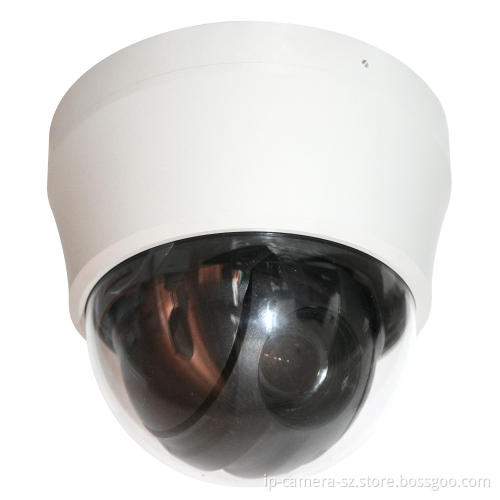 Auto-Flip Security Camera, Indoor Analog Camera with Sony CCD